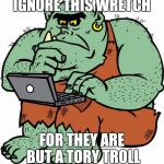 Troll | IGNORE THIS WRETCH; FOR THEY ARE BUT A TORY TROLL | image tagged in troll | made w/ Imgflip meme maker