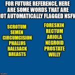 In honor of the now ended NSFW filth week, here are some words that ARE safe for work. | FOR FUTURE REFERENCE, HERE ARE SOME WORDS THAT ARE NOT AUTOMATICALLY FLAGGED NSFW:; SCROTUM SEMEN  CIRCUMCISION PHALLUS BALLSACK BREASTS; FORESKIN RECTUM ARIOLA NEGROID PROSTATE WILLY | image tagged in not nsfw | made w/ Imgflip meme maker