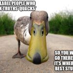 Duck | THEY LABEL PEOPLE WHO SPEAK TRUTHS 'QUACKS'; SO YOU WON'T GO THERE!.. YET IT'S WHERE THE BEST STUFF IS! | image tagged in duck | made w/ Imgflip meme maker