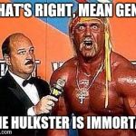 That's the truth, brothers and sisters | THAT'S RIGHT, MEAN GENE; THE HULKSTER IS IMMORTAL | image tagged in hulk hogan,so true memes,memes,political correctness | made w/ Imgflip meme maker