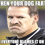 Frowny Cowher | WHEN YOUR DOG FARTS; AND EVERYONE BLAMES IT ON YOU | image tagged in frowny cowher | made w/ Imgflip meme maker
