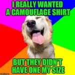 Anti Pun Dog | I REALLY WANTED A CAMOUFLAGE SHIRT; BUT THEY DIDN'T HAVE ONE MY SIZE | image tagged in anti pun dog | made w/ Imgflip meme maker