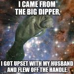 Space Manatee | I CAME FROM THE BIG DIPPER, I GOT UPSET WITH MY HUSBAND AND FLEW OFF THE HANDLE. | image tagged in space manatee | made w/ Imgflip meme maker