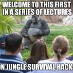 Ya gotta love those sociological credit requirements | WELCOME TO THIS FIRST IN A SERIES OF LECTURES; ON JUNGLE SURVIVAL HACKS | image tagged in ted talk gorilla,college,memes | made w/ Imgflip meme maker