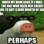 perhaps | WHEN MY MOM ASKS IF I WAS THE ONE WHO USED HER CREDIT CARD TO BUY $1000 WORTH OF SKINS | image tagged in perhaps | made w/ Imgflip meme maker