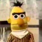 Sesame Street Bert meme