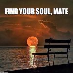 Romantic sunset | FIND YOUR SOUL, MATE | image tagged in romantic sunset | made w/ Imgflip meme maker