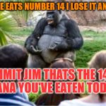 Gorilla Group Council Meeting | SO AFTER HE EATS NUMBER 14 I LOSE IT AND SCREAM; DAMMIT JIM THATS THE 14TH BANANA YOU'VE EATEN TODAY!!! | image tagged in gorilla glue,memes,funny,monkeys,cats,apes | made w/ Imgflip meme maker