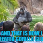 He then sold the company for a small fortune... :) | AND THAT IS HOW I CREATED GORILLA GLUE... | image tagged in gorilla lecture,memes,animals,gorilla,gorilla glue,zoo | made w/ Imgflip meme maker