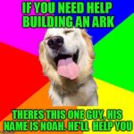 Anti Pun Dog | IF YOU NEED HELP BUILDING AN ARK; THERES THIS ONE GUY, HIS NAME IS NOAH. HE'LL  HELP YOU | image tagged in anti pun dog | made w/ Imgflip meme maker