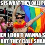 SRSLY?!?! | IF THIS IS WHAT THEY CALL PRIDE... THEN I DON'T WANNA SEE WHAT THEY CALL SHAME. | image tagged in gay sorry 'bout the tag before,gay,pride,shame,gay guy | made w/ Imgflip meme maker