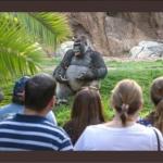 Gorilla TED Talk