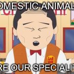 Mr Lu Kim South Park | DOMESTIC ANIMALS; ARE OUR SPECIALITY | image tagged in mr lu kim south park | made w/ Imgflip meme maker