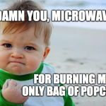 I hate sandcastles | DAMN YOU, MICROWAVE; FOR BURNING MY ONLY BAG OF POPCORN | image tagged in i hate sandcastles | made w/ Imgflip meme maker