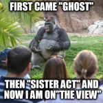 ted talk gorilla | FIRST CAME "GHOST"; THEN "SISTER ACT" AND NOW I AM ON"THE VIEW" | image tagged in ted talk gorilla | made w/ Imgflip meme maker