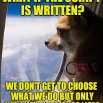 Experience is our only choice? | WHAT IF THE SCRIPT IS WRITTEN? WE DON'T GET TO CHOOSE WHAT WE DO BUT ONLY HOW WE EXPERIENCE LIFE? | image tagged in memes,contemplating dog,acim,experience,choice,predestiny | made w/ Imgflip meme maker