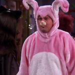 Friends Chandler Bunny Costume Halloween meme