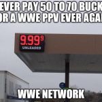 WWE Network Is 9.99. | NEVER PAY 50 TO 70 BUCKS FOR A WWE PPV EVER AGAIN. WWE NETWORK | image tagged in wwe network is 999 | made w/ Imgflip meme maker