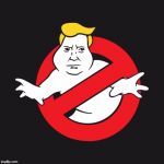 If theres something strange, in the United states, who you gonna call? TRUMPBUSTERS! | image tagged in not my president | made w/ Imgflip meme maker