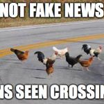 word up | NOT FAKE NEWS; CHICKENS SEEN CROSSING ROAD | image tagged in meme,cock,road,chickens,fake news | made w/ Imgflip meme maker