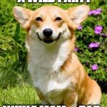 mischievous corgi throwing party | MAYBE I'LL THROW A WILD PARTY; WHILE MOM & DAD ARE OUT OF TOWN | image tagged in mischievous corgi,corgi,mischief | made w/ Imgflip meme maker