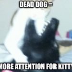 Dog catcher | DEAD DOG =; MORE ATTENTION FOR KITTY | image tagged in dog catcher | made w/ Imgflip meme maker