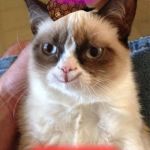Grumpy/Happy Cat | I'M ON; HAPPY DRUGS | image tagged in grumpy/happy cat,scumbag | made w/ Imgflip meme maker