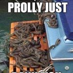 Snakes on a boat | YEAH, WELL PROLLY JUST; BANK FISH | image tagged in snakes on a boat | made w/ Imgflip meme maker