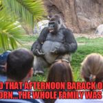 Gorilla lecture | "...AND THAT AFTERNOON BARACK OBAMA WAS BORN...THE WHOLE FAMILY WAS THERE." | image tagged in gorilla lecture | made w/ Imgflip meme maker