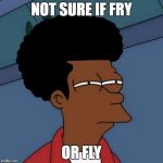 Futurama So Fly | NOT SURE IF FRY; OR FLY | image tagged in black fry,fly | made w/ Imgflip meme maker