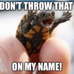 yelling turtle | DON'T THROW THAT; ON MY NAME! | image tagged in yelling turtle | made w/ Imgflip meme maker