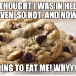 That's the way the cookie crumbles. And those chocolate tears look so good. Yummm | I THOUGHT I WAS IN HELL. OVEN. SO HOT. AND NOW... UR GOING TO EAT ME! WHYYYYY?!! | image tagged in chocolate chip cookie,sad chocolate,memes,funny,humor,dark humor | made w/ Imgflip meme maker