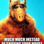 Much much  | MUCH MUCH INSTEAD OF SNIFFING YOUR HOUSE | image tagged in alf the alien,alf | made w/ Imgflip meme maker