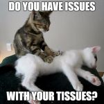 cat massage | DO YOU HAVE ISSUES; WITH YOUR TISSUES? | image tagged in cat massage | made w/ Imgflip meme maker