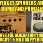 Has anyone found Bad Luck Brian's pet rock - the one that ran away? ≧◠‿◠≦ | "FIDGET SPINNERS ARE SO DUMB AND POINTLESS"; SAYS THE GENERATION THAT BOUGHT 1.5 MILLION PET ROCKS | image tagged in pet rock,memes,fidget spinner,fidget spinners,generation gap,cultural impact | made w/ Imgflip meme maker
