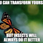 Unspirational butterfly quote | YOU CAN TRANSFORM YOURSELF; BUT INSECTS WILL ALWAYS DO IT BETTER | image tagged in butterfly,unspirational,unspirational quotes,transformation,insects | made w/ Imgflip meme maker