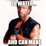 chuck norris 2 | LEADS A HORSE TO WATER... ...AND CAN MAKE HIM DRINK! | image tagged in chuck norris 2 | made w/ Imgflip meme maker