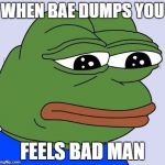 Feels Bad Man | WHEN BAE DUMPS YOU; FEELS BAD MAN | image tagged in feels bad man | made w/ Imgflip meme maker