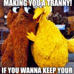 RUN SNUFFY RUN! RUN LIKE THE WIND! | THERE'S TALK OF MAKING YOU A TRANNY! IF YOU WANNA KEEP YOUR JUNK YOU BETTER RUN! | image tagged in snuffy and big bird,memes,funny,sesame street,politics,transgender | made w/ Imgflip meme maker