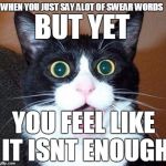 not funny #2 | WHEN YOU JUST SAY ALOT OF SWEAR WORDS; BUT YET; YOU FEEL LIKE IT ISNT ENOUGH | image tagged in surprised cat lol | made w/ Imgflip meme maker