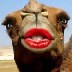 Camel Lipstick