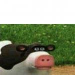Perhaps cow meme