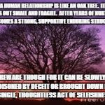 Relationship | A HUMAN RELATIONSHIP IS LIKE AN OAK TREE.  IT STARTS OUT SMALL AND FRAGILE.  AFTER YEARS OF NURTURING IT BECOMES A STRONG, SUPPORTIVE ENDURING STRUCTURE. BEWARE THOUGH FOR IT CAN BE SLOWLY POISONED BY DECEIT OR BROUGHT DOWN BY A SINGLE, THOUGHTLESS ACT OF SELFISHNESS! | image tagged in tree | made w/ Imgflip meme maker