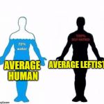 Average Human vs Hate | AVERAGE LEFTIST; AVERAGE HUMAN | image tagged in average human vs hate | made w/ Imgflip meme maker