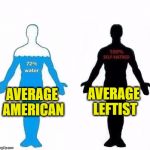 Average Human vs Hate | AVERAGE LEFTIST; AVERAGE AMERICAN | image tagged in average human vs hate | made w/ Imgflip meme maker