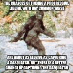 sasquatch | THE CHANCES OF FINDING A PROGRESSIVE LIBERAL WITH ANY COMMON SANSE; ARE ABOUT AS ELUSIVE AS CAPTURING A SASQUATCH. BUT THERE IS A BETTER CHANCE OF CAPTURING THE SASQUATCH | image tagged in sasquatch | made w/ Imgflip meme maker