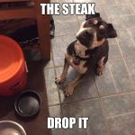 Sad puppy | THE STEAK; DROP IT | image tagged in sad puppy | made w/ Imgflip meme maker