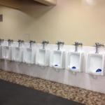 Row of urinals meme