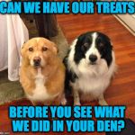 Sooooo Guilty (lol) | CAN WE HAVE OUR TREATS; BEFORE YOU SEE WHAT WE DID IN YOUR DEN? | image tagged in besties | made w/ Imgflip meme maker