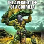super mutant jimmies | THE AVERAGE LIFE OF A GORRILLA | image tagged in super mutant jimmies | made w/ Imgflip meme maker